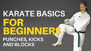 Karate Basics for Beginners Followalong Lesson [upl. by Elka]