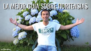 La mejor GUÍA para cultivar HORTENSIAS que verás en Youtube  en20metros [upl. by Tnomel]