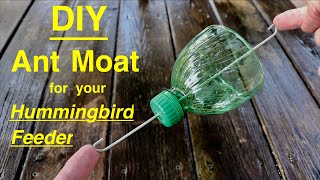 No More Ants ● Simple Diy Hummingbird ANT MOAT [upl. by Selwin788]