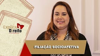 Explica Direito Filiação Socioafetiva  2019 [upl. by Vivian]