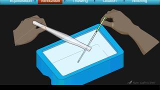 Cryotop Embryo Vitrification Animation [upl. by Ja]