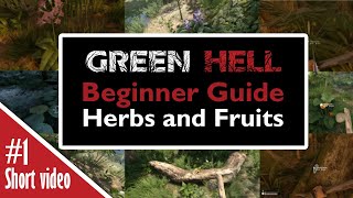 GREEN HELL BEGINNER GUIDE HERBS AND FRUITS 2020 [upl. by Nosrej907]