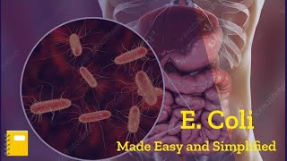 E Coli Bacteria Microbiology  Escherichia Coli  E Coli Disease [upl. by Dnilazor]