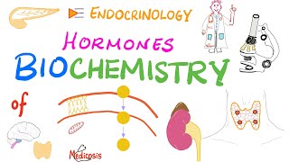 How to load the Genotropin growth hormone pen [upl. by Ecela115]