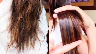 TRATAMIENTO CASERO PARA EL CABELLO SECO Y MALTRATADO CABELLO SIN FRIZZ Y SIN PUNTAS ABIERTAS [upl. by Otrebtuc]