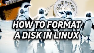 How to Partition and Format a Disk in Linux [upl. by Clarke]