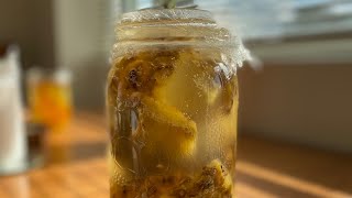 HOW TO MAKE TEPACHE Fermented pineapple drink [upl. by Dorca]