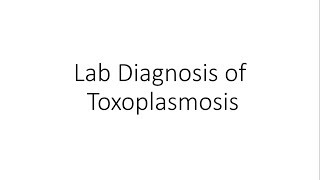 Laboratory Diagnosis of Toxoplasmosis  Parasitology [upl. by Ainolloppa]