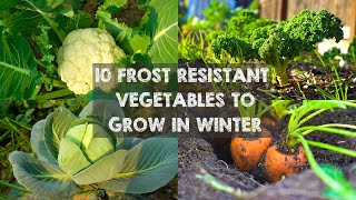 10 Frost Resistant Vegetables to Grow in Winter [upl. by Desmond]