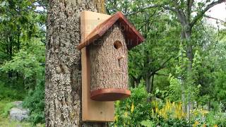 Homemade Bird Houses from a Natural Log DIY Nesting Bird Box [upl. by Neivad13]