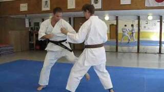 KARATE  Shotokan fighting  Tiger Karate Demo [upl. by Eirlav]