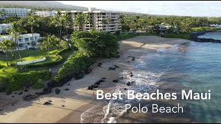 Best Beaches Maui Polo Beach 2023green turtles and white spotted eagle rays [upl. by Needan524]