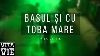 Vita de Vie  Basul si cu Toba Mare  Videoclip OFICIAL [upl. by Toor]