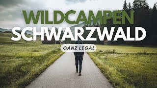 IM SCHWARZWALD DARF MAN LEGAL WILDCAMPEN [upl. by Wilder]