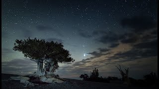 Great Basin National Park Film [upl. by Namyac]