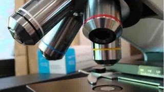 How To Use a Compound Light Microscope Biology Lab Tutorial [upl. by Inttirb168]