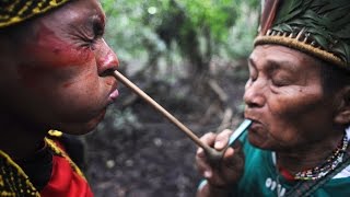 Making First Contact with the Tribal People of the Amazon Full Documentary [upl. by Myrta422]