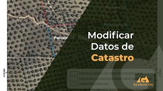 Modificar Datos de Catastro [upl. by Assilym]