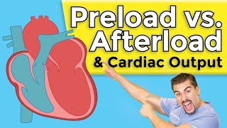 Cardiomyopathy  Preload vs Afterload [upl. by Aleafar126]