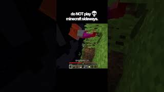 do NOT play minecraft sideways [upl. by Nisior176]