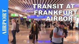 TRANSIT WALK AT FRANKFURT Airport FRA Terminal 1  Connection Flight Transfer Arriving amp Departing [upl. by Minsat]