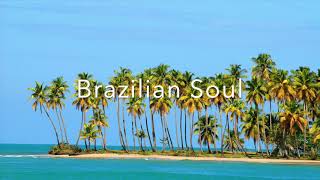 The Knocks Sofi Tukker  Brazilian Soul  Daco Remix [upl. by Rumpf]