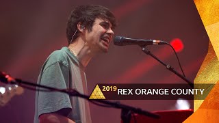 Rex Orange County Live Performance [upl. by Angelis]