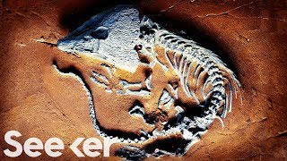 ‘The Great Dying’ Was Our Worst Extinction Ever And It Could Happen Again [upl. by Mercer]